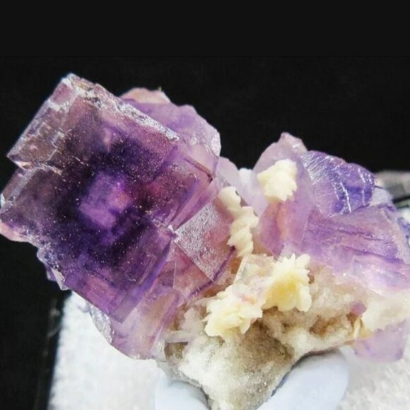 Fluorite ✦ Dolomite Crystal Thumbnail ✦ 19g Purple Cubes & Cream Matrix Specimen - Picture 1 of 17